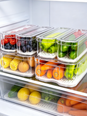 Freezer and Fridge Divider Storage Container